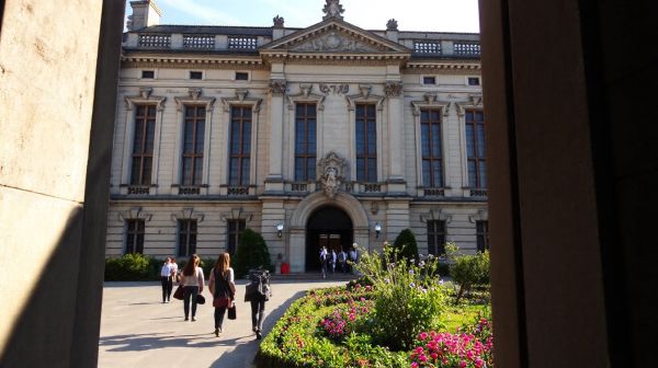 Découvrez les meilleures écoles de violon à Rennes pour apprendre